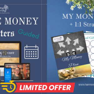 Steward's Quest (Guided) + 1:1 Strategy Call + My Money Plan (October 2025)